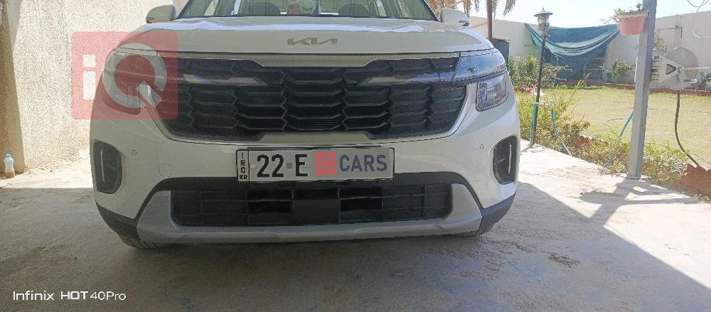 کیا سێلتۆس